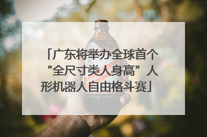 广东将举办全球首个“全尺寸类人身高”人形机器人自由格斗赛